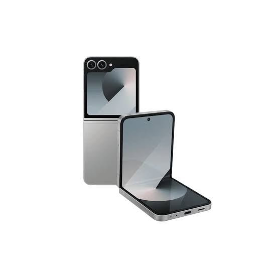 Flip 6